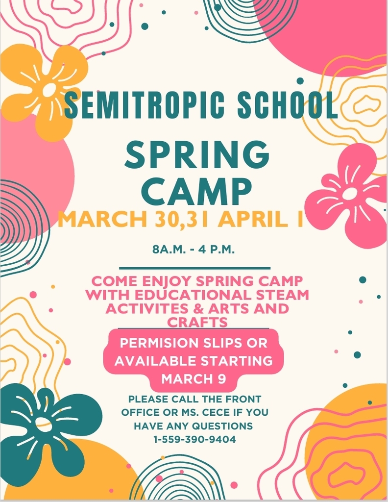 Spring Camp