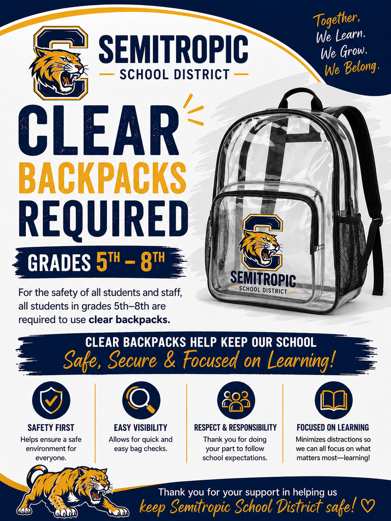 Clear backpack