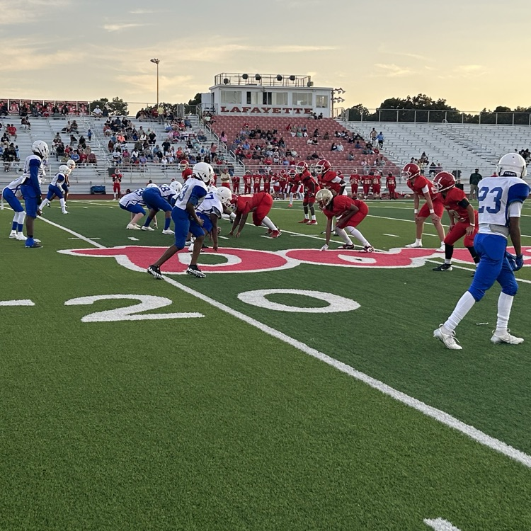 🏈