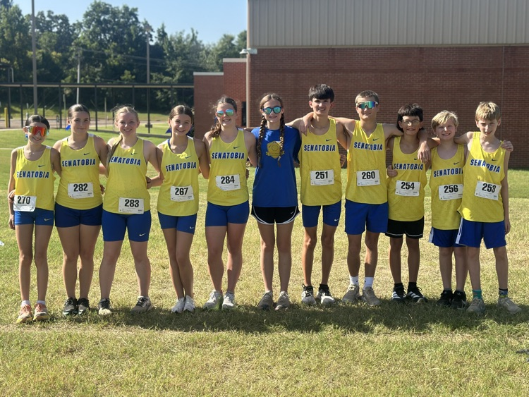 SMS 💙💛