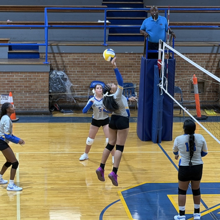 🏐