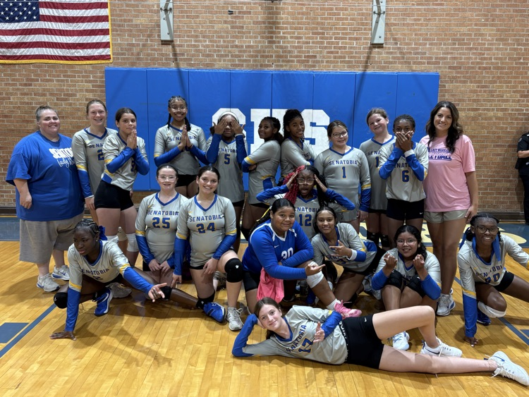🏐