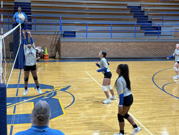 🏐