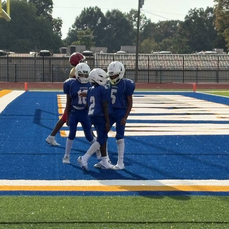 🏈