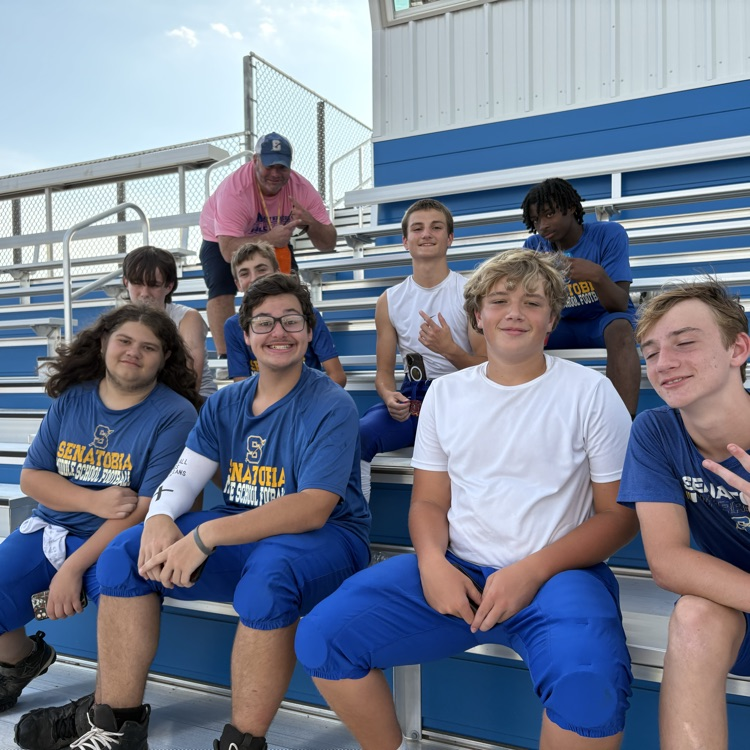 🏈