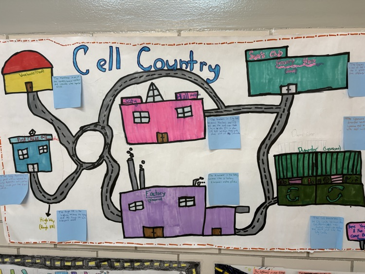 cells 