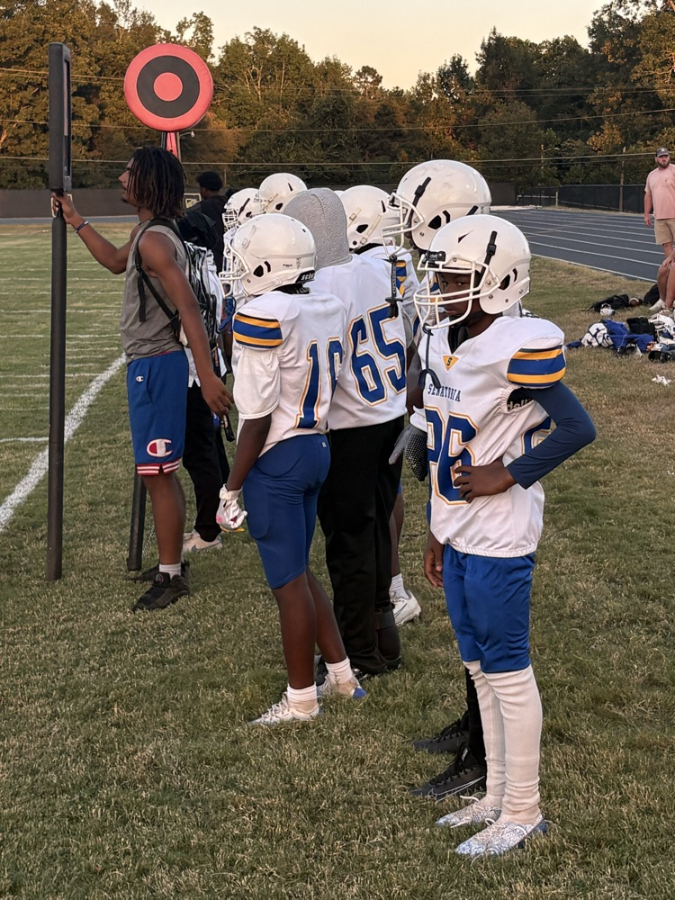 🏈