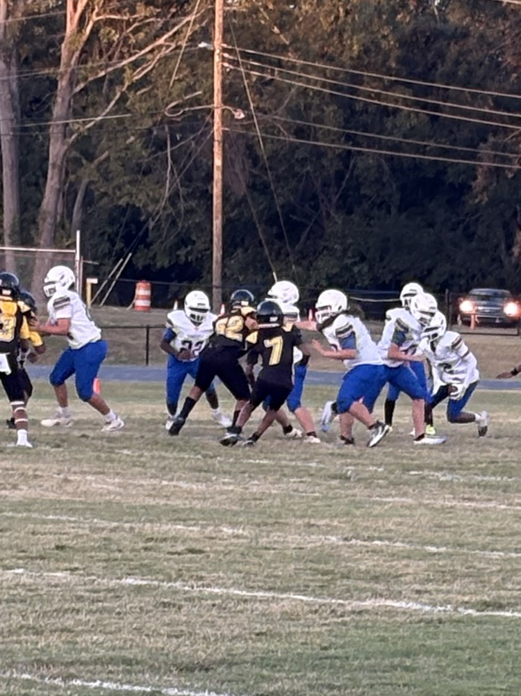 🏈