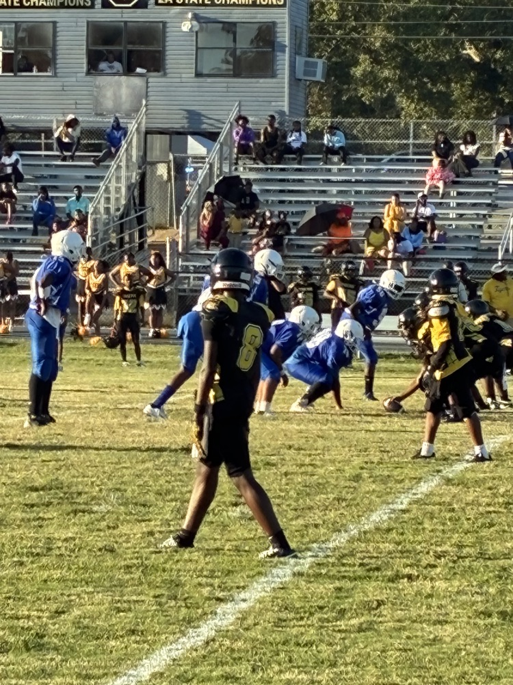 🏈
