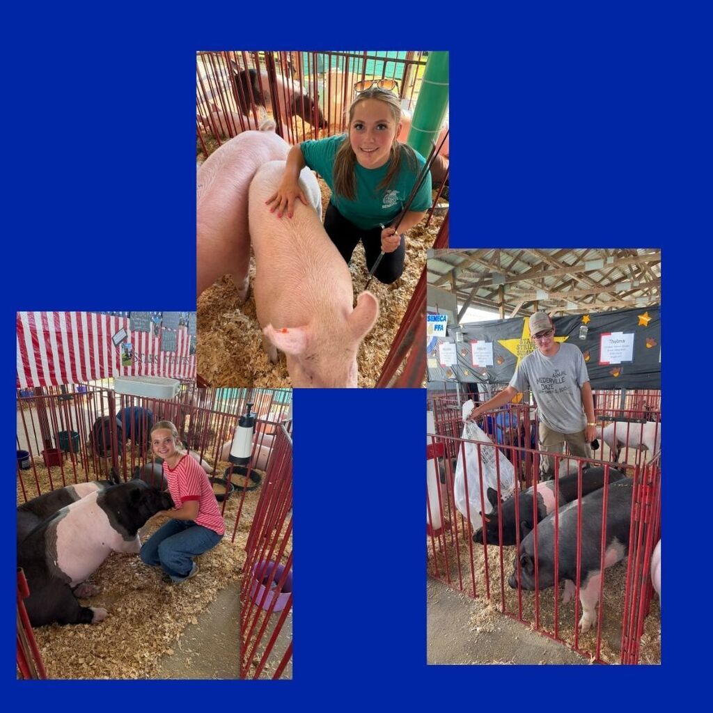 Fair Days
