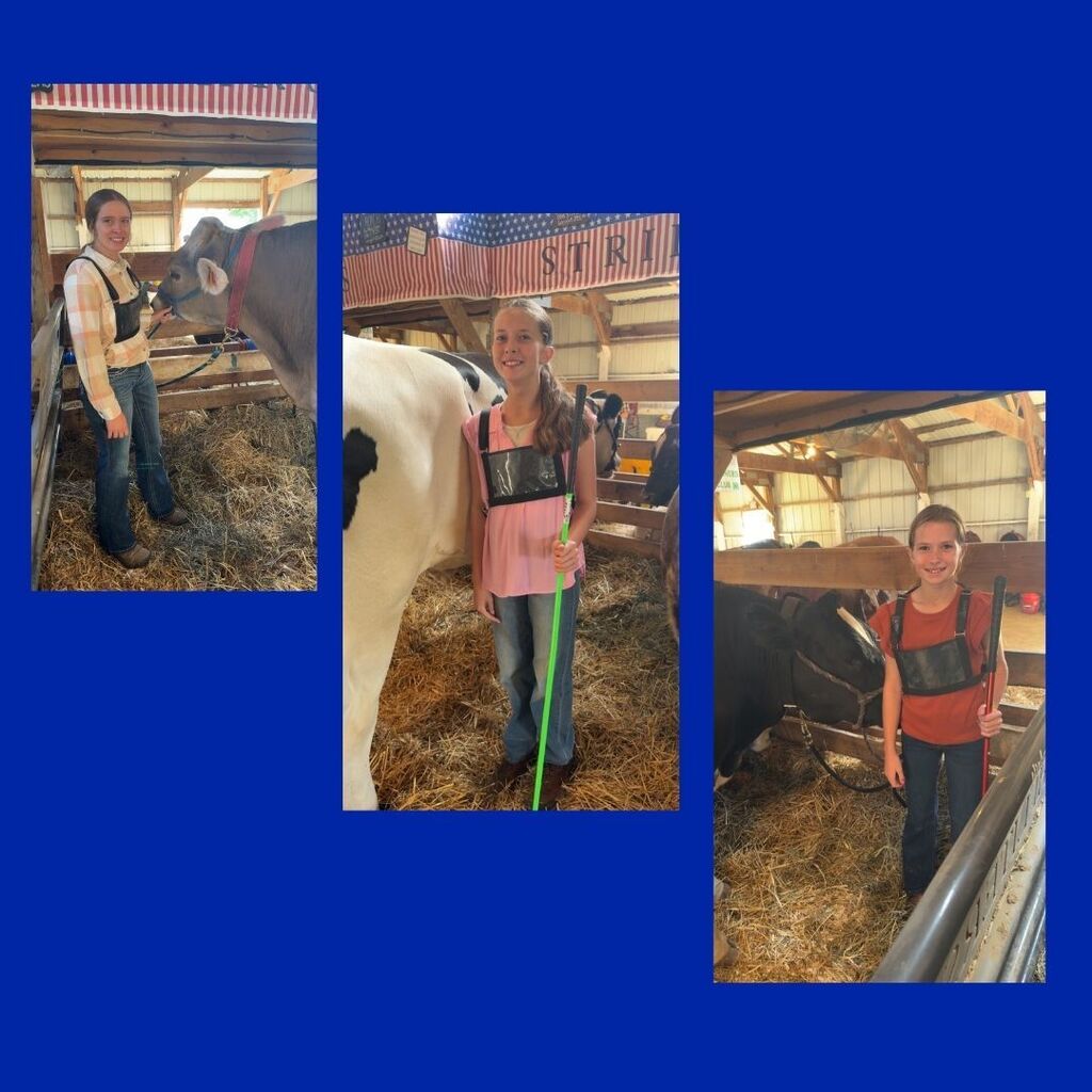 Fair Days