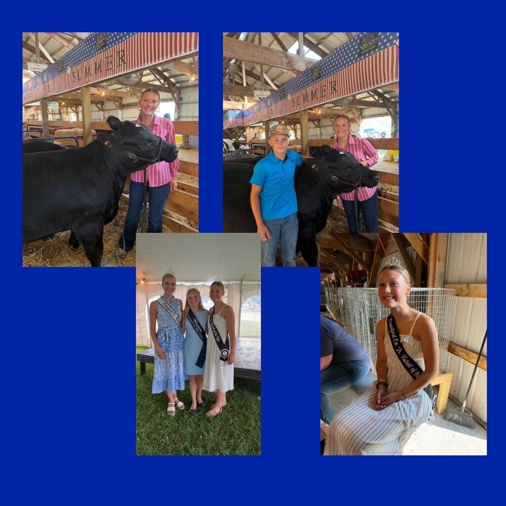 Fair Days