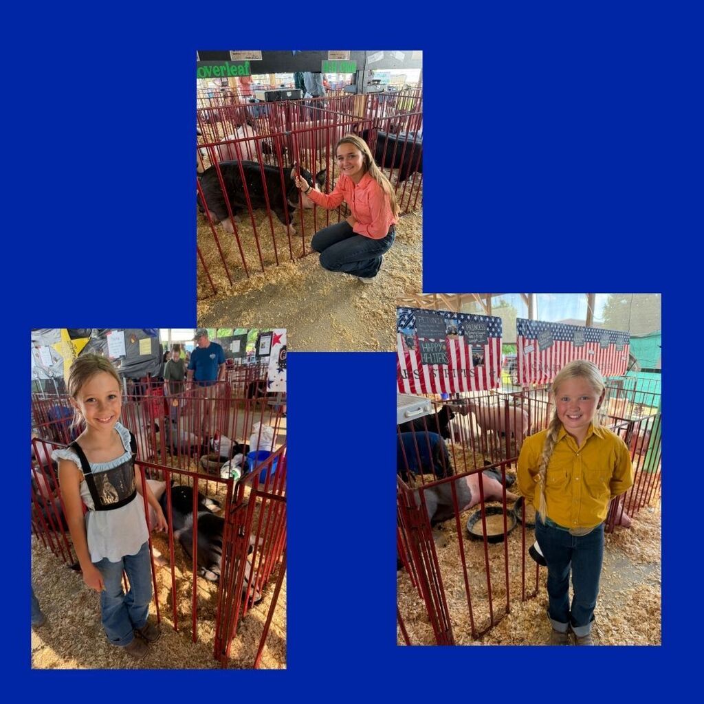 Fair Days