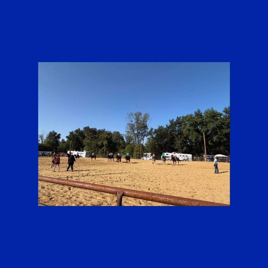 Fair days