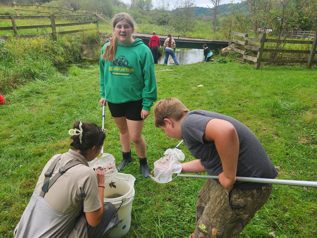 Conservation Day
