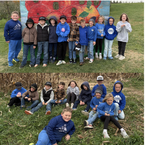 apple field trip