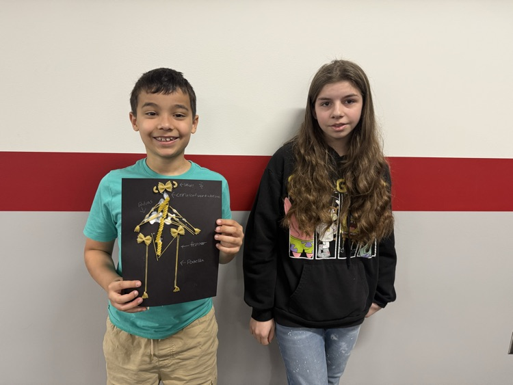 Thanks to our 7th grade buddies for teaching us about bones!