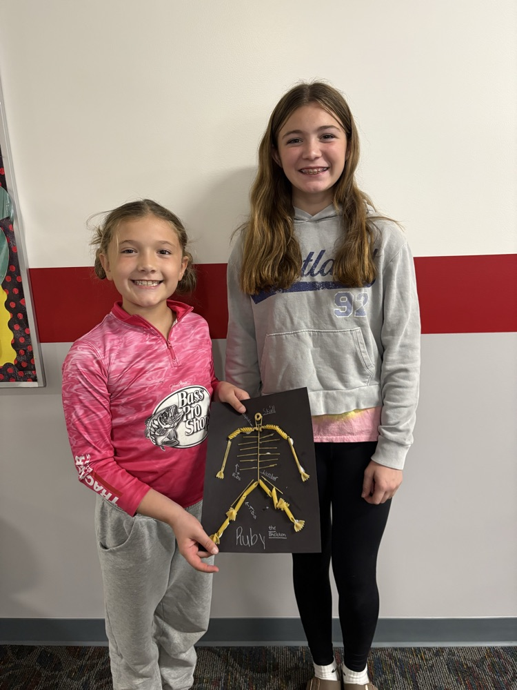 Thanks to our 7th grade buddies for teaching us about bones!