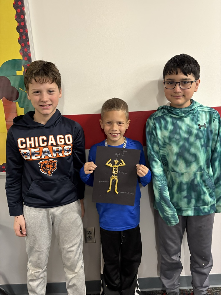 Thanks to our 7th grade buddies for teaching us about bones!
