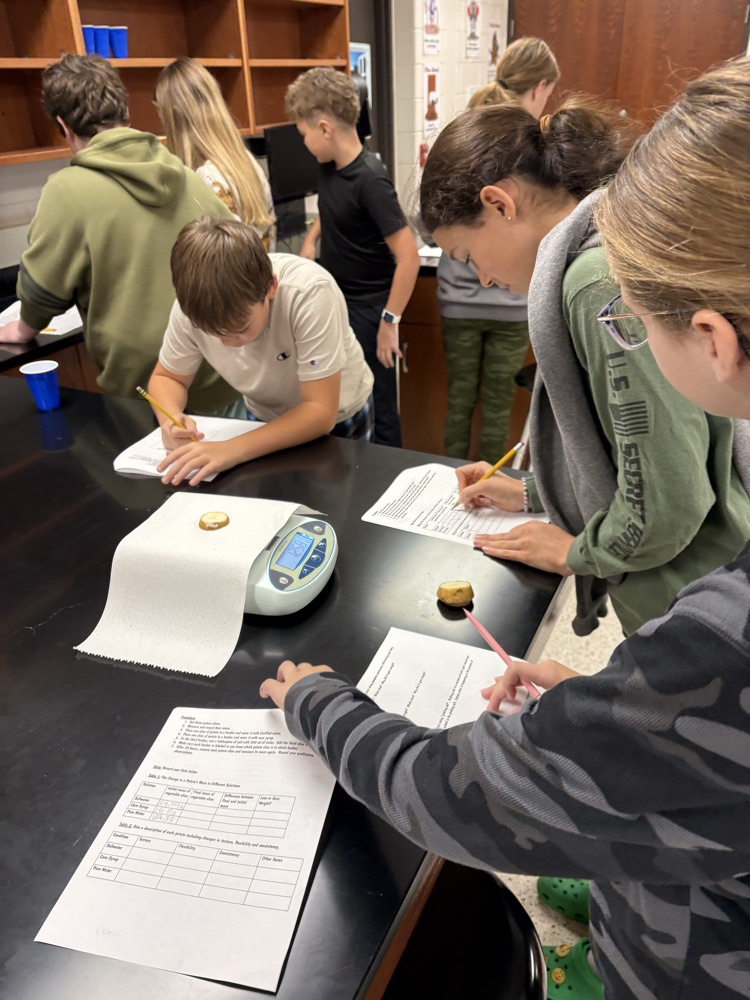 cellular transport lab