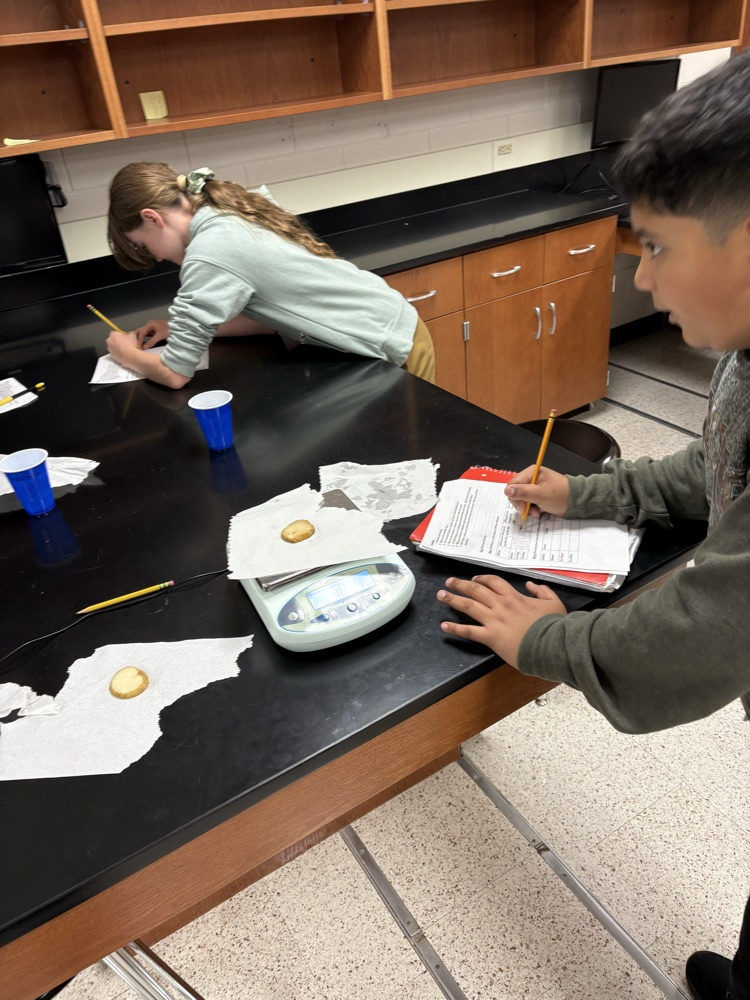 cellular transport lab