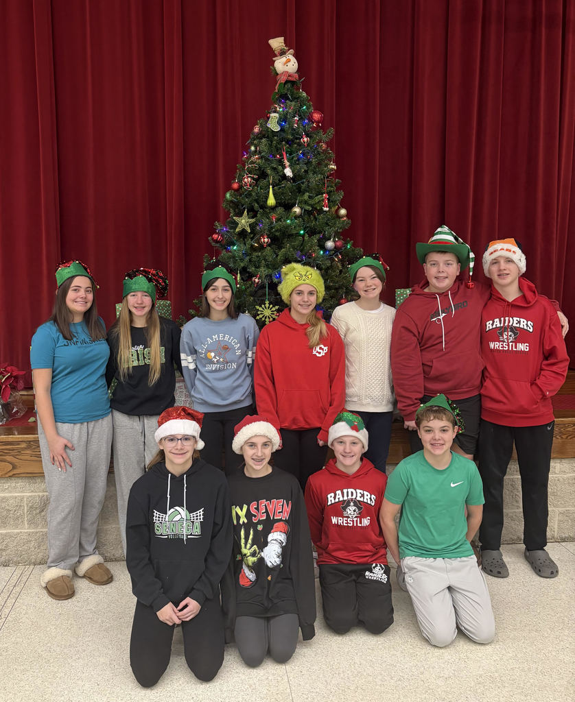 A group of students pose in front of a Christmas tree wearing festive hats.  