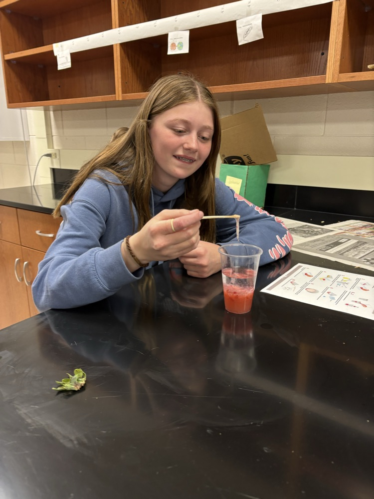 strawberry DNA