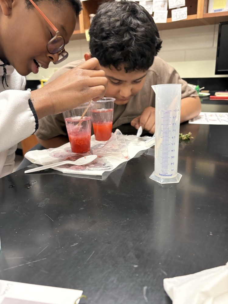 strawberry DNA