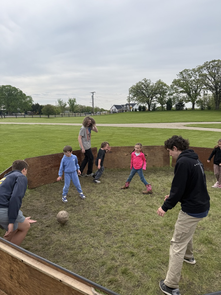 Gaga ball