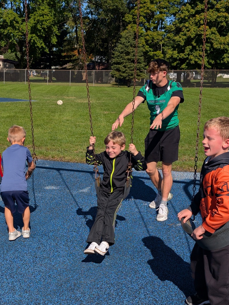 Student being pushed on swing