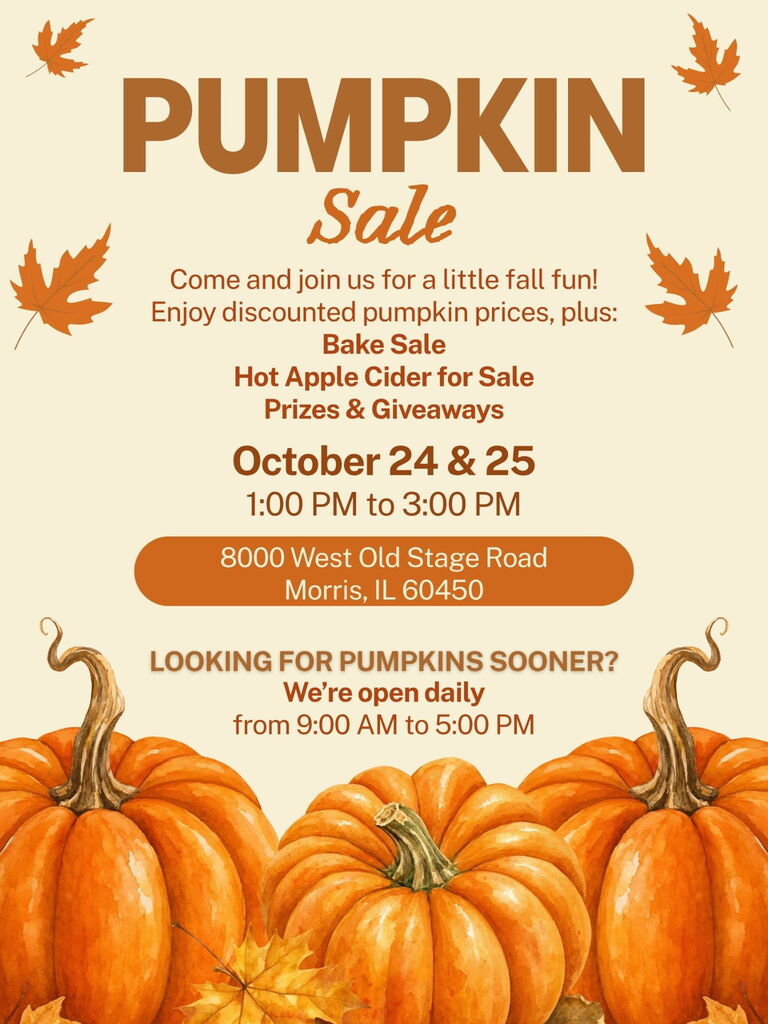 Mrs. Beck's Pumpkin Event