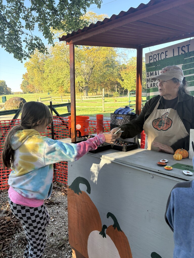 Purchasing Pumpkins