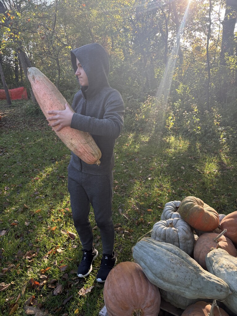 Helping other friends lift pumpkins