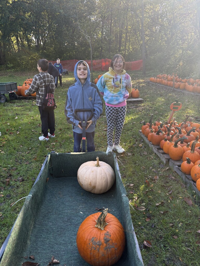 Picking out pumpkins