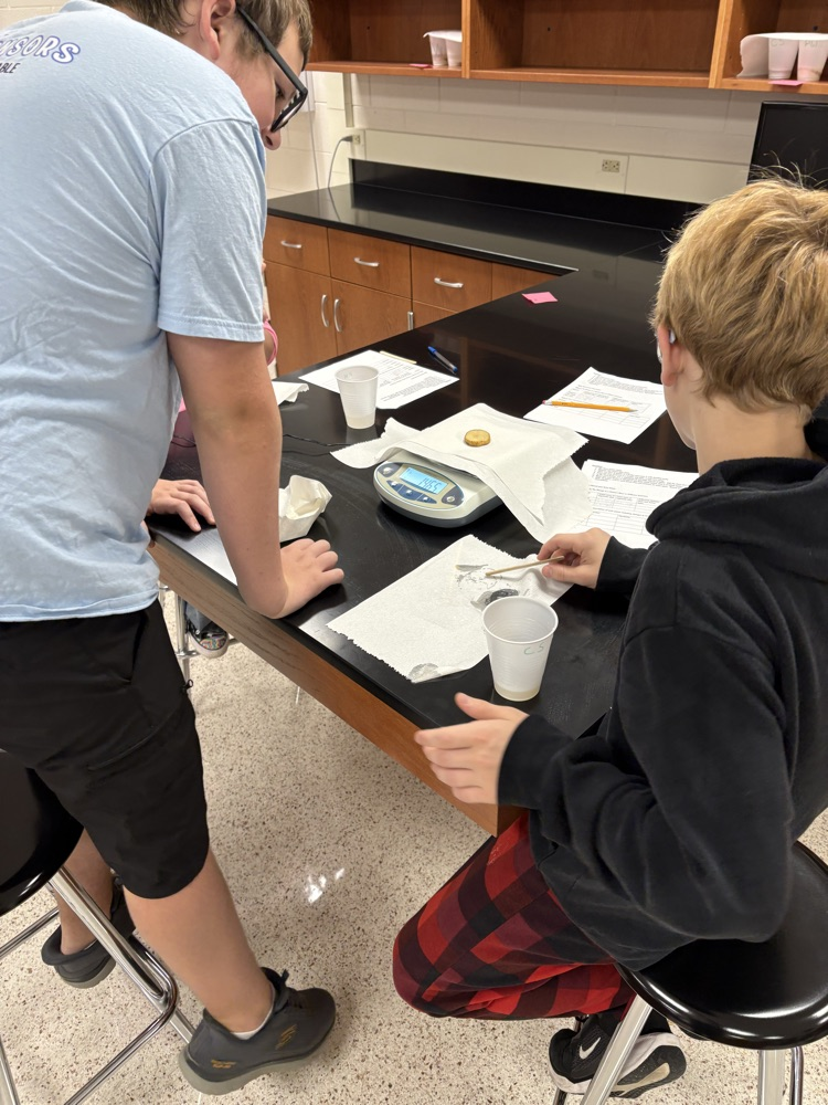 potato lab