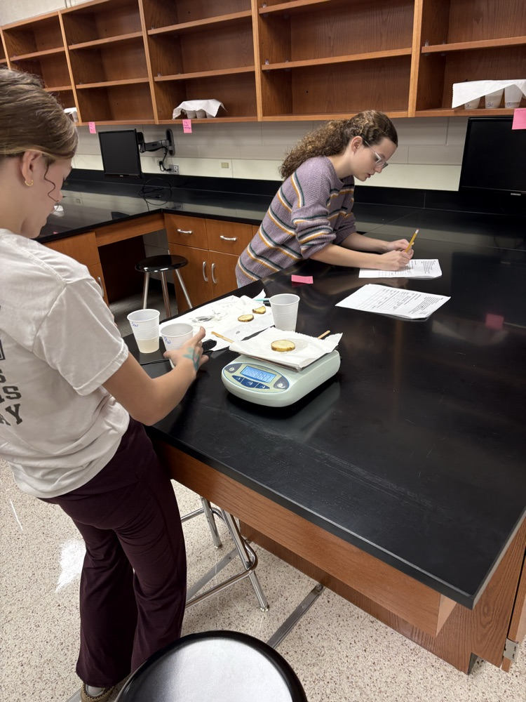 potato lab