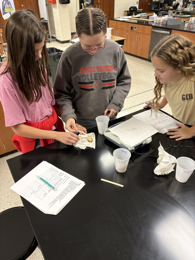 potato lab