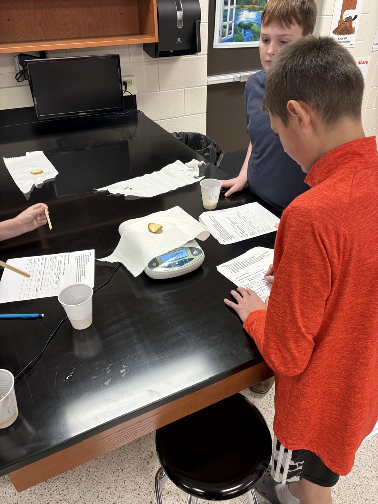 potato lab