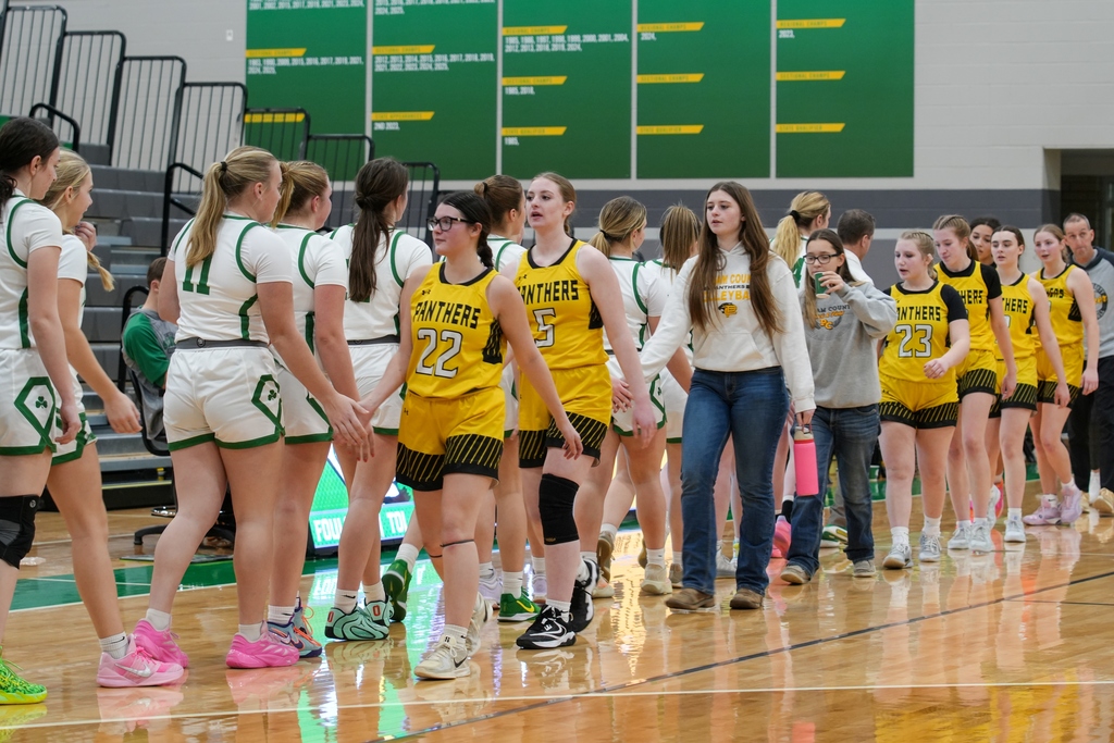 Senior Matt Stach is currently in Mrs. Sandeno's Photography class and captured some great shots of the final minutes from last night's 60-40 Lady Irish victory over Putnam County!