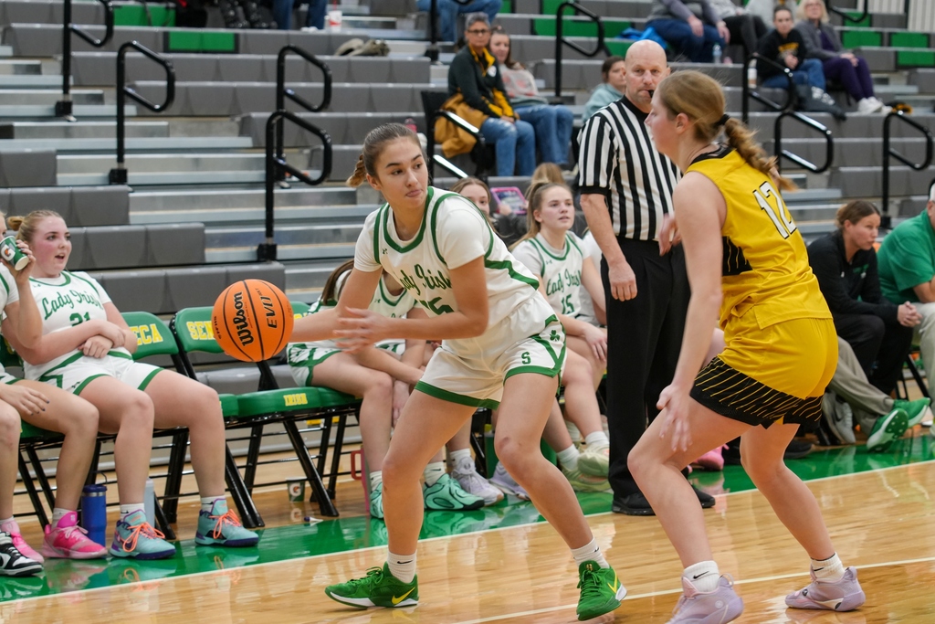 Senior Matt Stach is currently in Mrs. Sandeno's Photography class and captured some great shots of the final minutes from last night's 60-40 Lady Irish victory over Putnam County!
