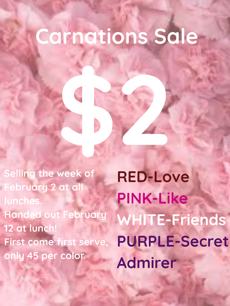 Carnations will be sold for $2.00 during all lunch periods this week.