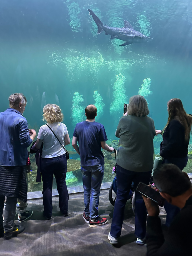 RISE took 74 students to the Shedd Aquarium in Chicago for our annual RISE member field trip on Monday.