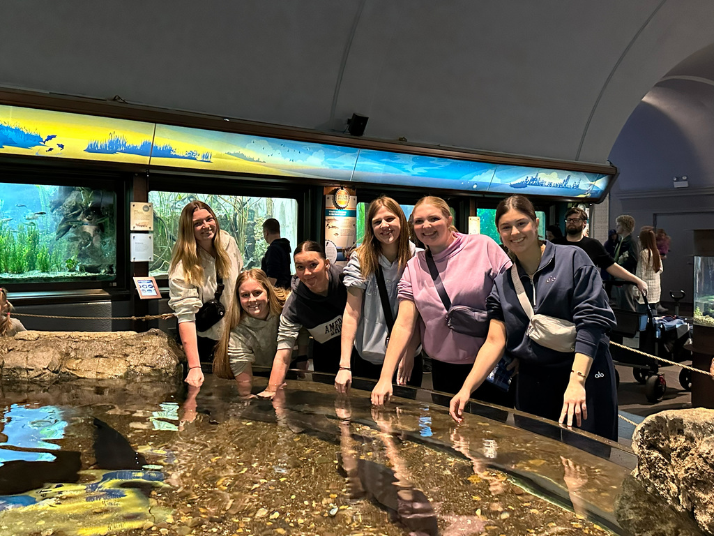 RISE took 74 students to the Shedd Aquarium in Chicago for our annual RISE member field trip on Monday.