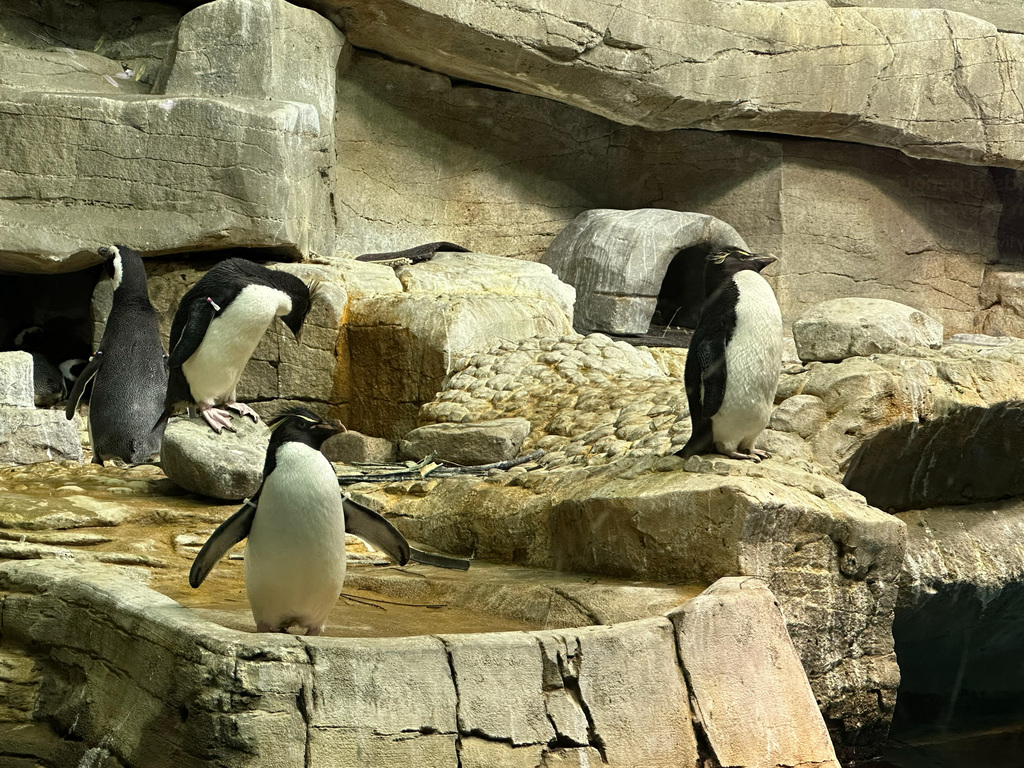 RISE took 74 students to the Shedd Aquarium in Chicago for our annual RISE member field trip on Monday.