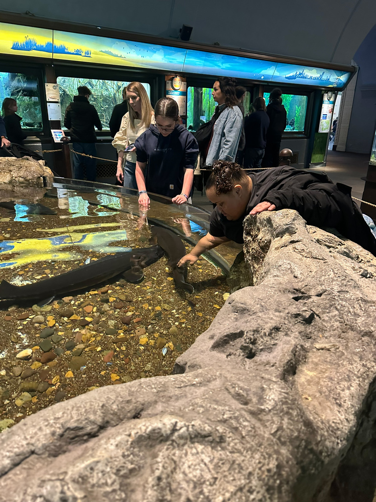 RISE took 74 students to the Shedd Aquarium in Chicago for our annual RISE member field trip on Monday.