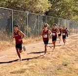 xc