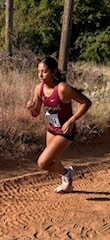 xc