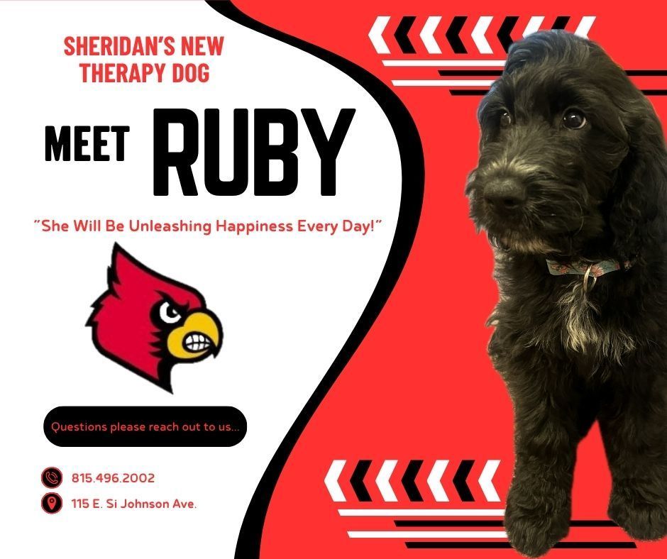 Ruby Message