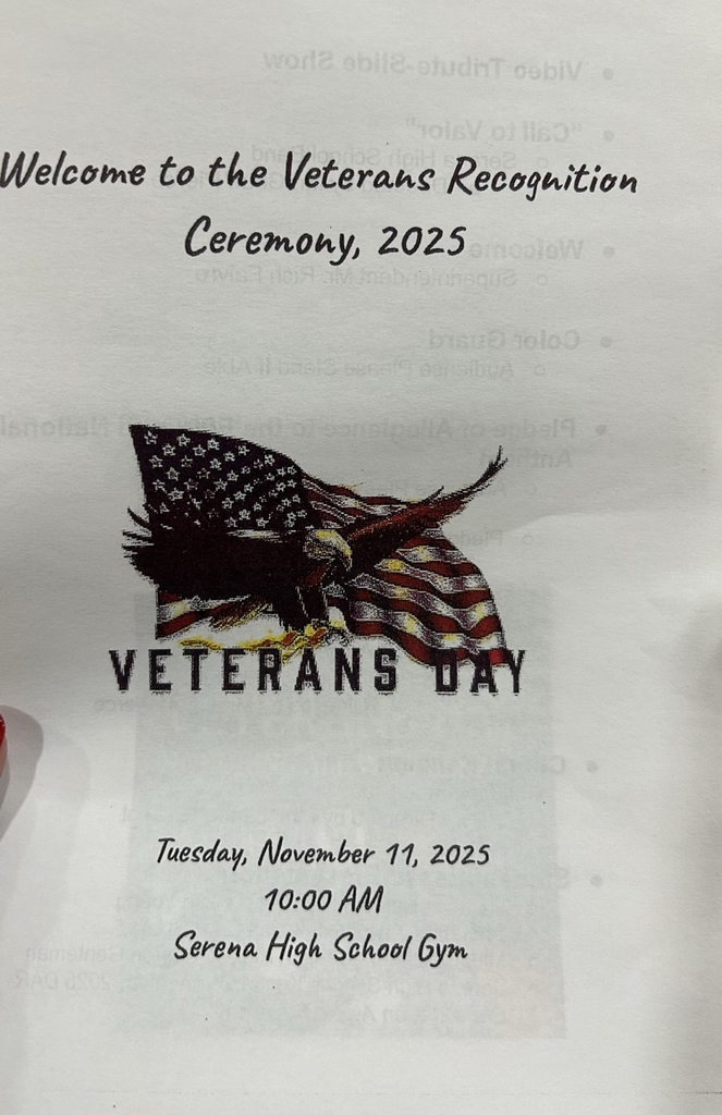vet day program