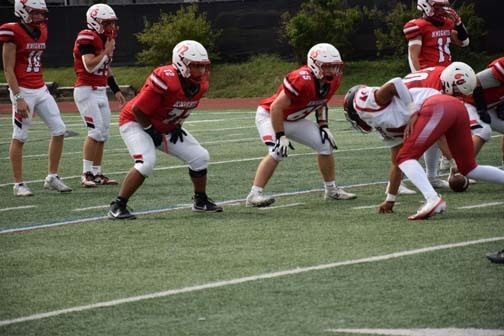 Crowd members are pictured during the Pledge of Allegiance.